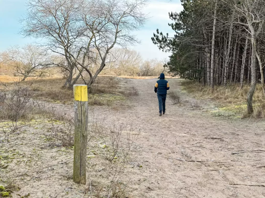 Gele markering op de paaltjes op het wisentenpad in Zuid-Kennemerland in Nederland