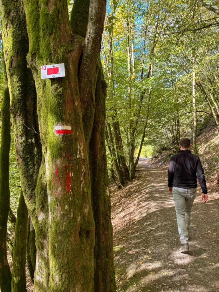 De bewegwijzering voor wandeling 43 in Rochehaut, die je langs ladders door het bos leidt