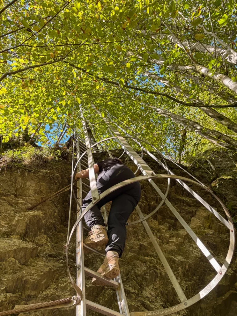 De ladders van Rochehaut tijdens wandeling 43